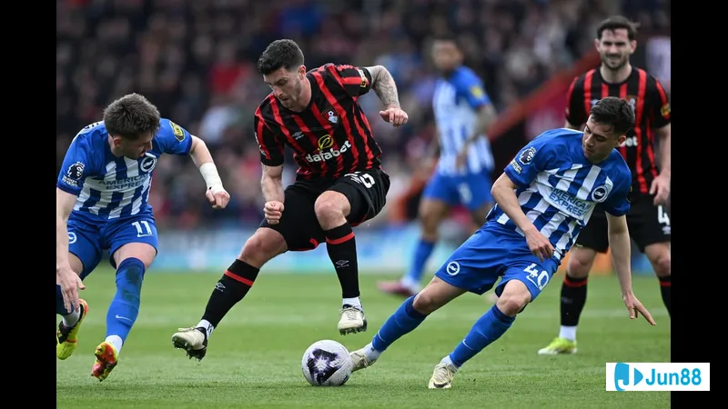 "ภาพฟุตบอลของ 'Bournemouth' กับ 'Brighton'"